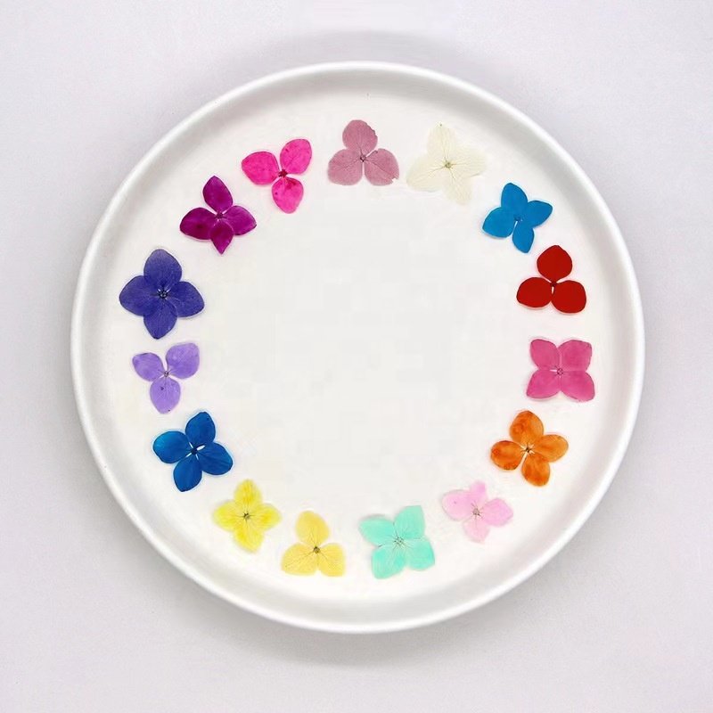 MNR2154 high quality dyed colorful dried hydrangea flowers for DIY flower materials