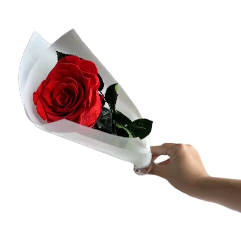 Mini Dried Flower Bouquets Preserved Forever Roses With Long Lasting Stem For Proposal Wedding Valentine Mother Birthday Day