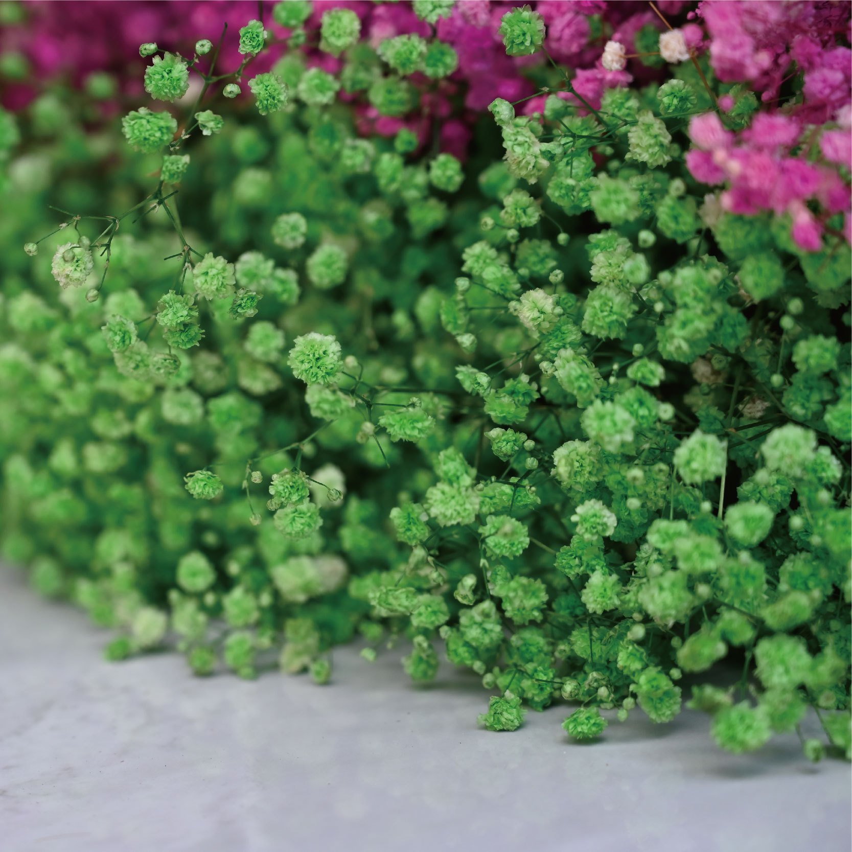 Wholesale wedding party home holiday decoration dried flowers Valentine's Day bouquet natural gifts colorful baby's breath