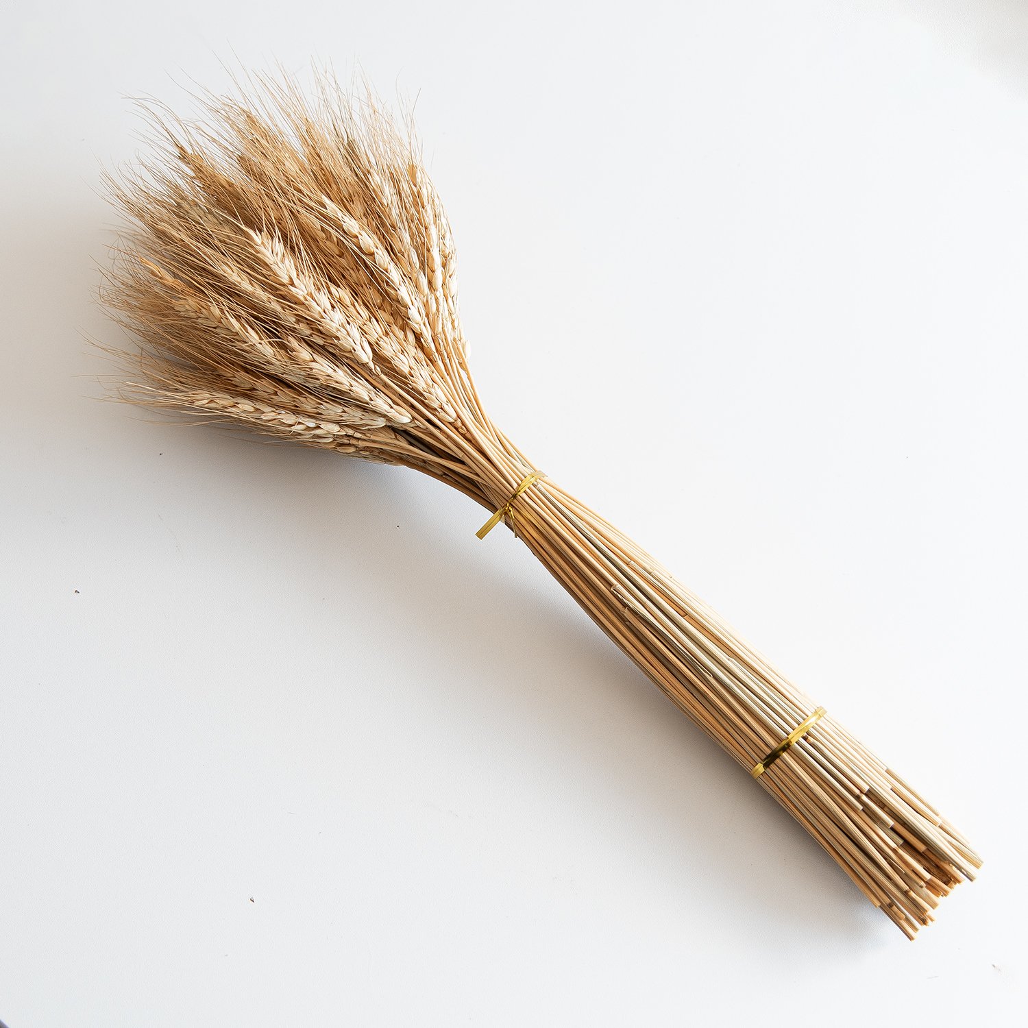 Wholesale Dried Wheat Sheaves Stalks Bouquet Natural Wheat Ears Grain Flowers Dry Grass Bunch Boho Decor