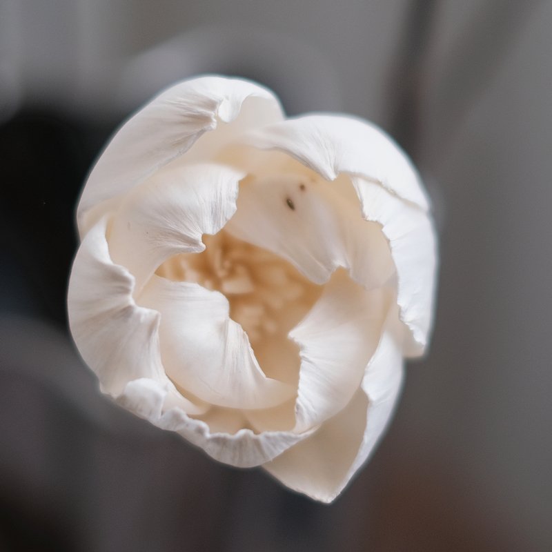 High Quality hand made Sola wood Flowers bulk Peony Flower dried flowers Home and Wedding Wall Decoration