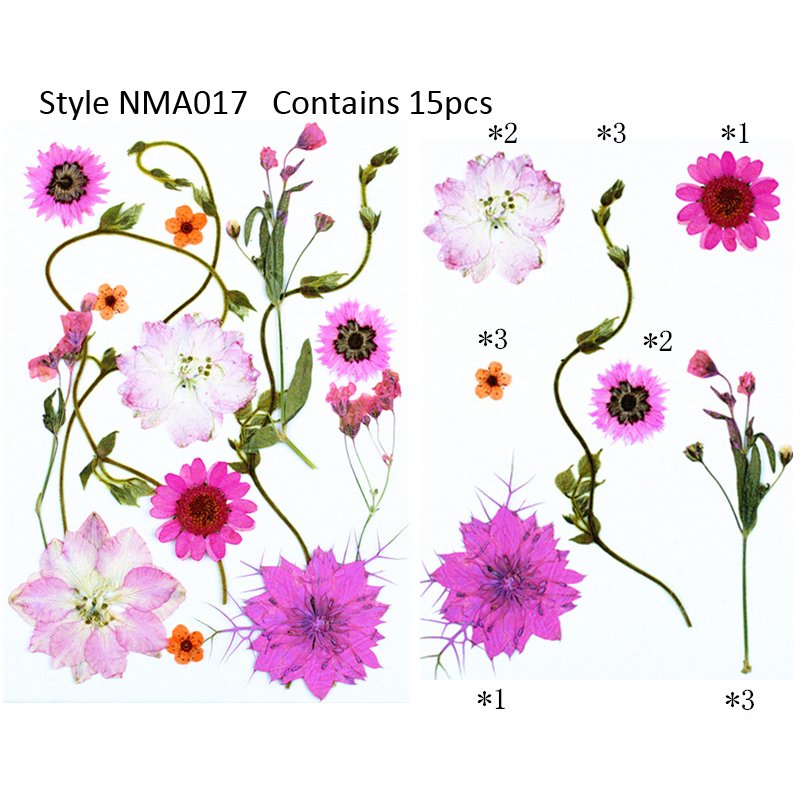Wholesale Handicraft Flower Real Dried Pressed Flowers Resin Flowers Set for Resin Jewelry Nail Art Pendant Crafts Candle Making