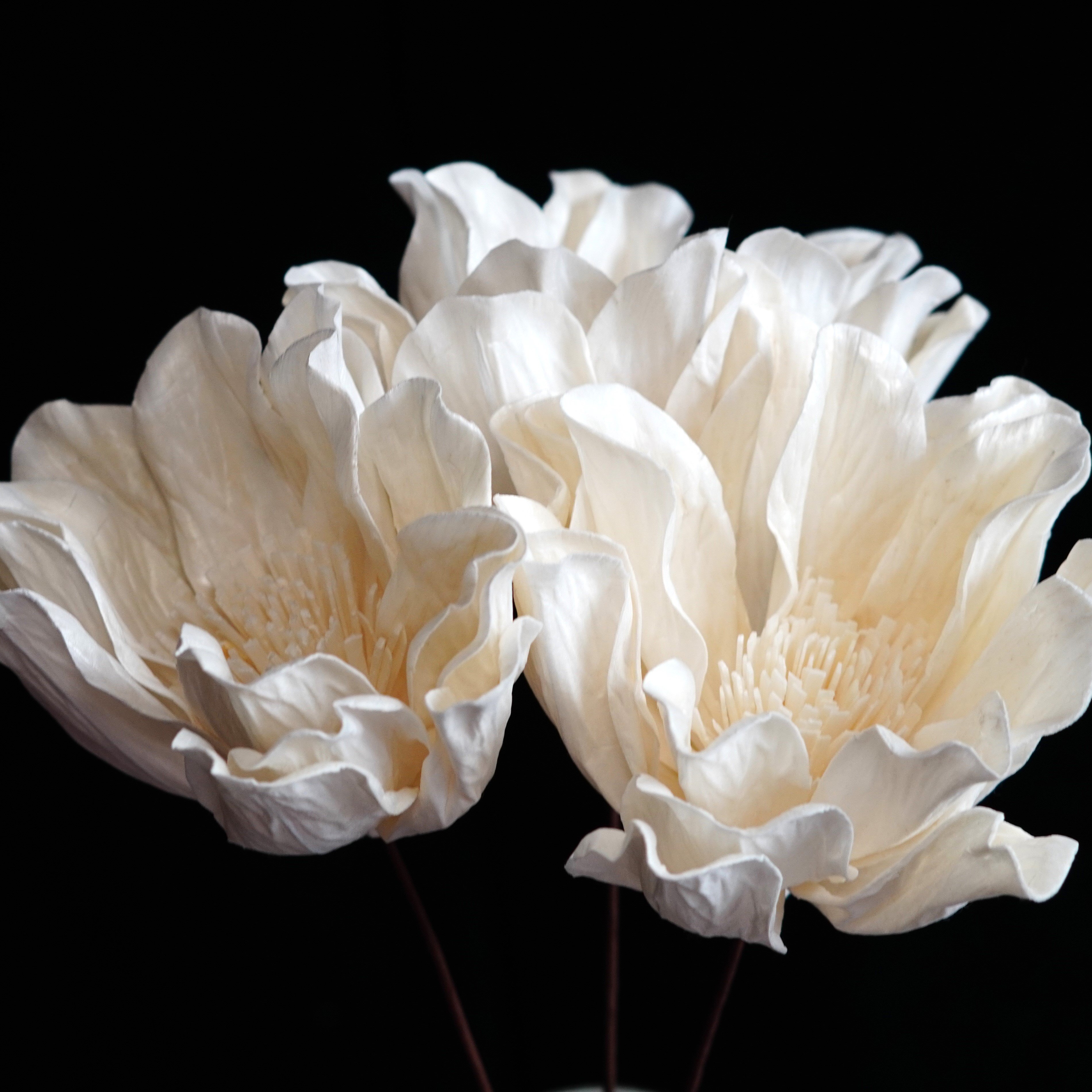 Handmade Flowers with stems Home Wedding Decor High dried Flowers
