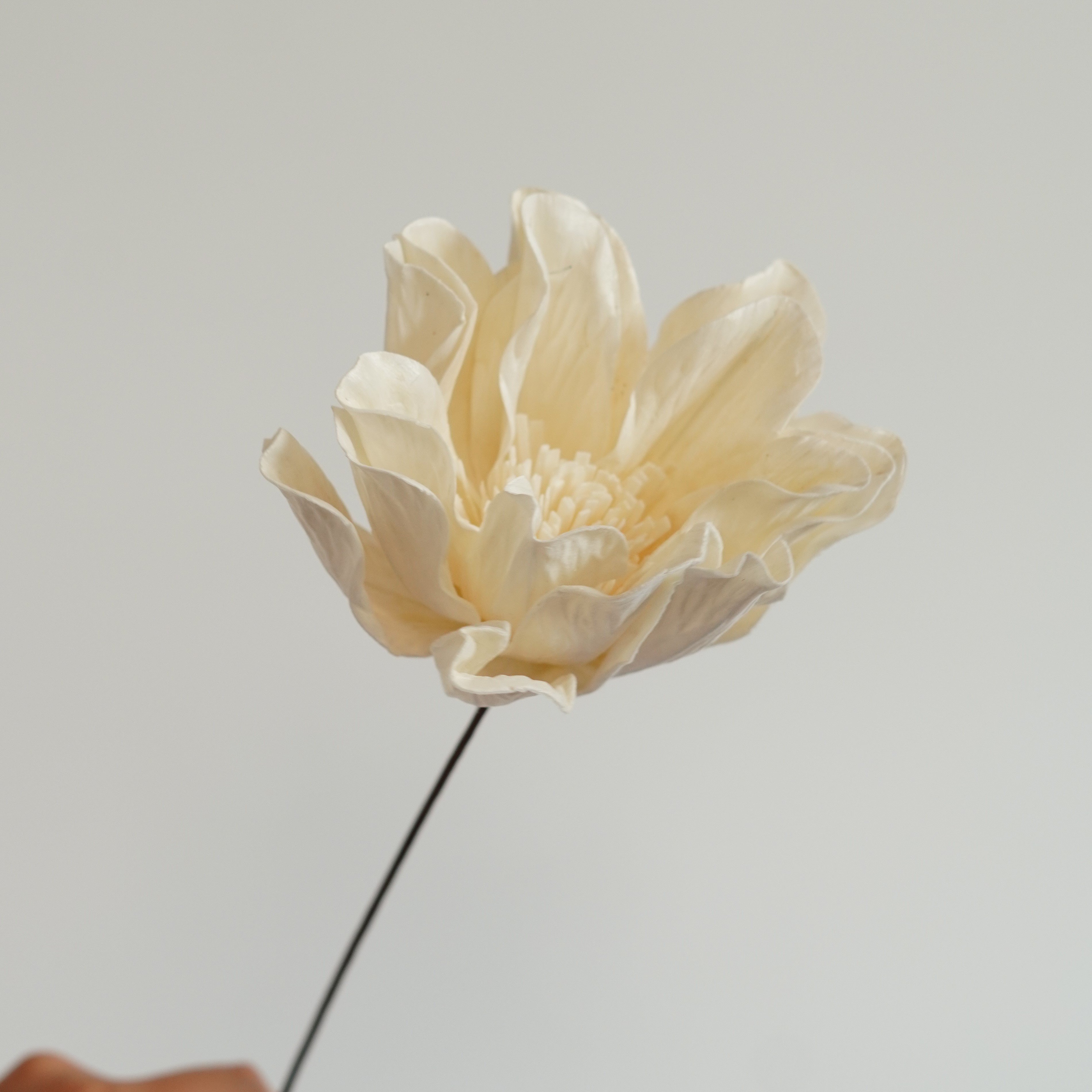 Handmade Flowers with stems Home Wedding Decor High dried Flowers