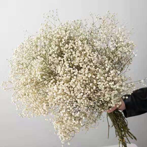 Wholesale A level preserved baby breath colorful dried flower bouquet