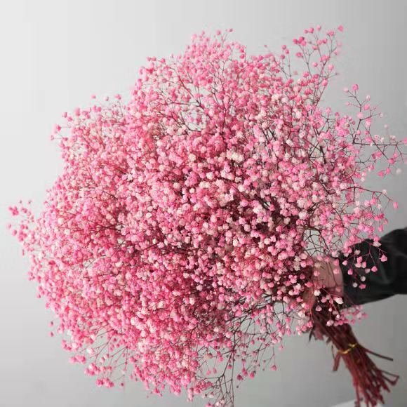 Wholesale A level preserved baby breath colorful dried flower bouquet