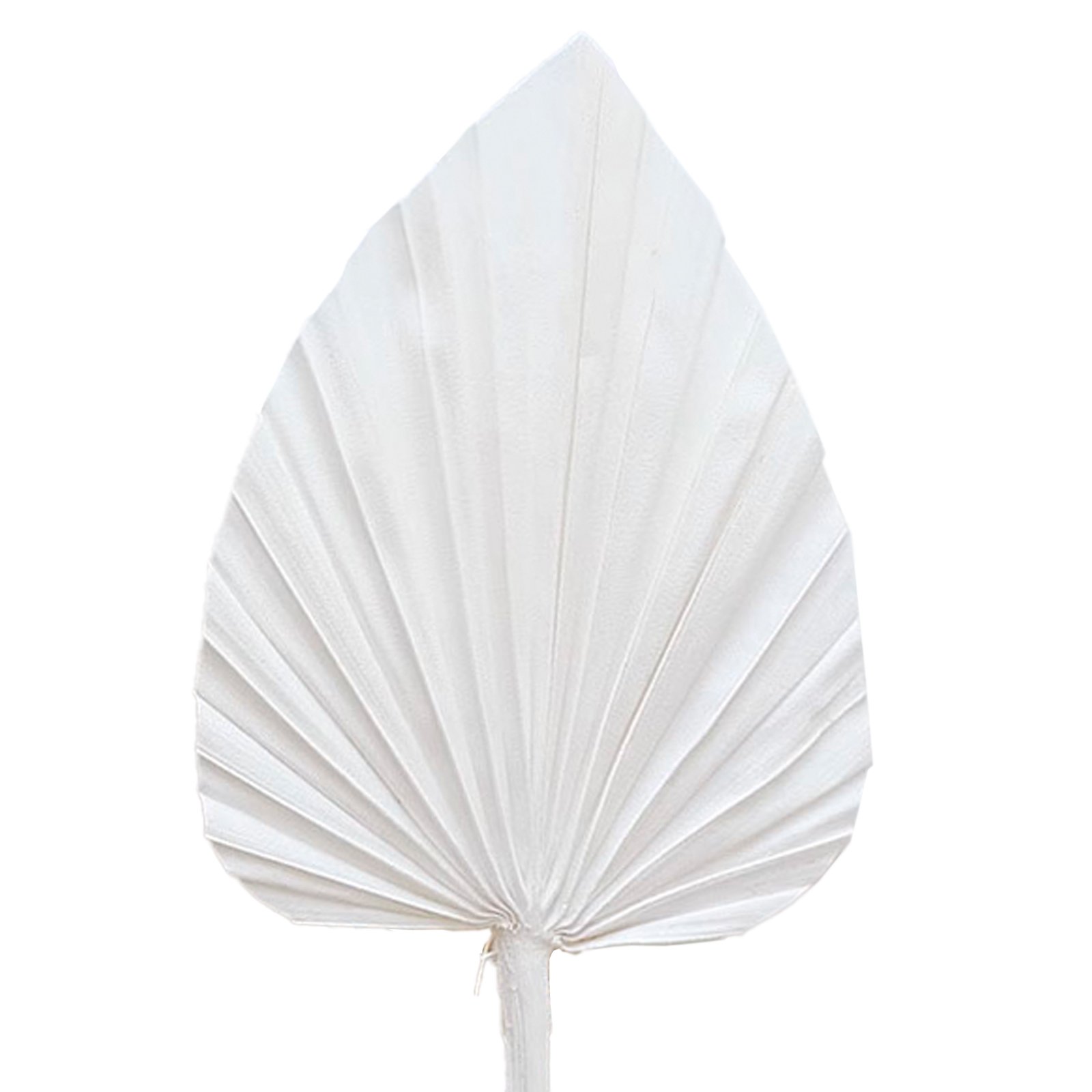 Hot-selling Mini- Natural Dried Palm Leaves Decor Boho Palm Fans Tropical Palm Flowers for Wedding House Party Kitchen Decor