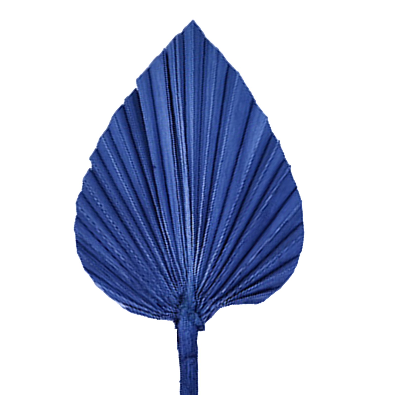Hot-selling Mini- Natural Dried Palm Leaves Decor Boho Palm Fans Tropical Palm Flowers for Wedding House Party Kitchen Decor