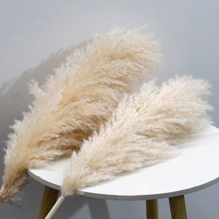 Wholesale Boho Wedding centerpieces 120cm Tall Natural Dry Pampasgras Flower Beige Large Fluffy Dried Decor Pampas Grass