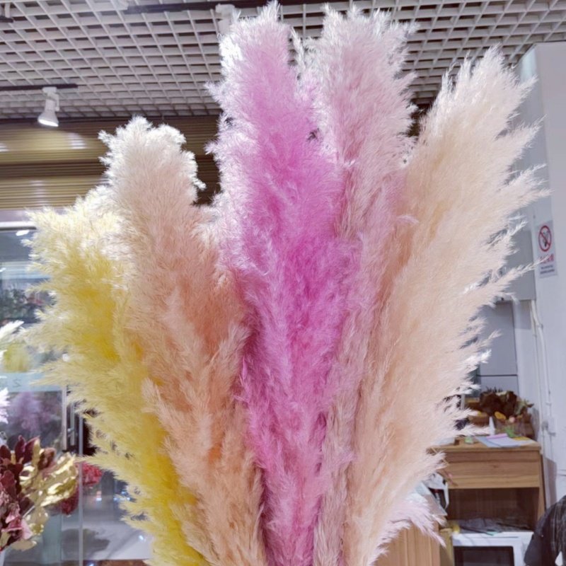 Wholesale Boho Wedding centerpieces 120cm Tall Natural Dry Pampasgras Flower Beige Large Fluffy Dried Decor Pampas Grass