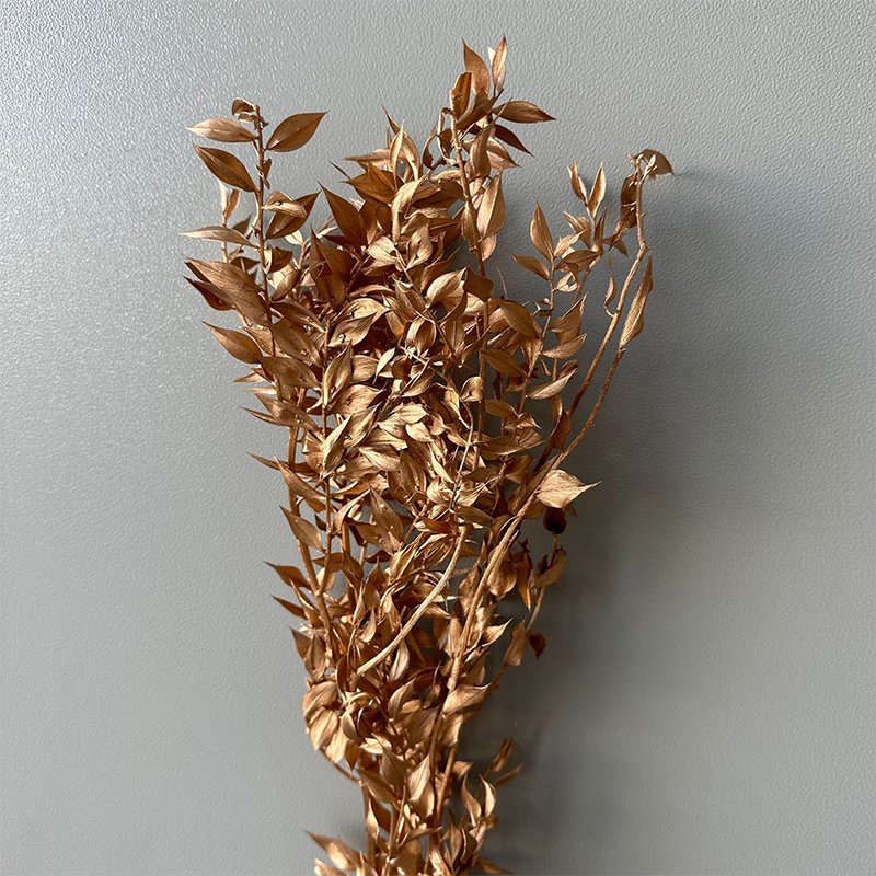 Wholesale Dried Flower Preserved Ruscus Flower Dried Italian Ruscus Leaf Branches White Ruscus For Floral Decoration Arrangement