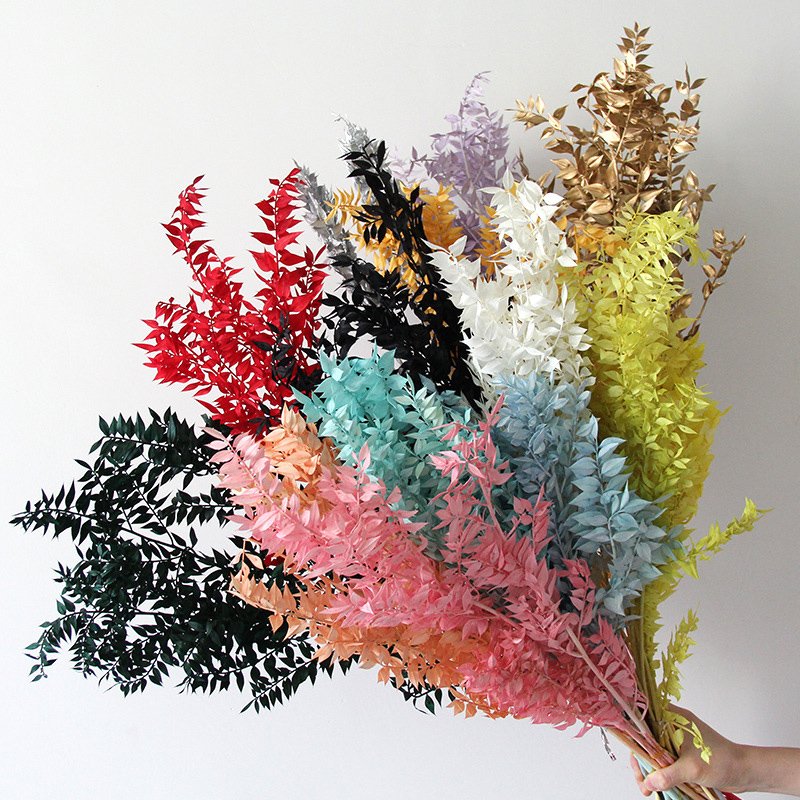 Wholesale Dried Flower Preserved Ruscus Flower Dried Italian Ruscus Leaf Branches White Ruscus For Floral Decoration Arrangement