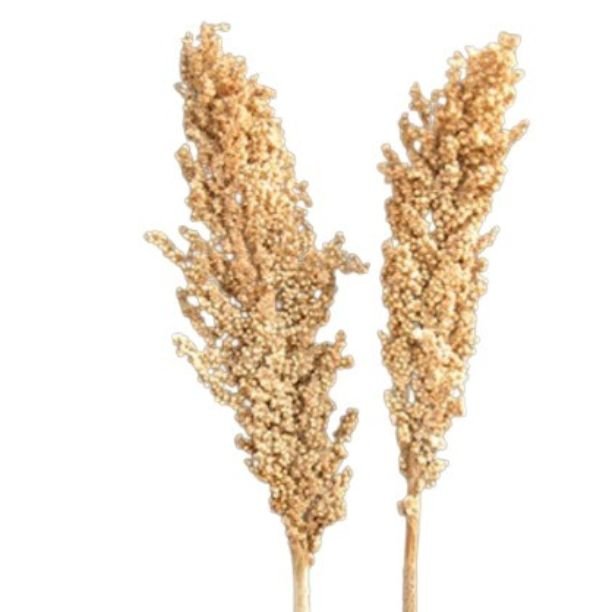 High Quality Wholesale Natural Indian Corn Grass for DIY, Events Decor & Other Dried Flower & Grass Decor