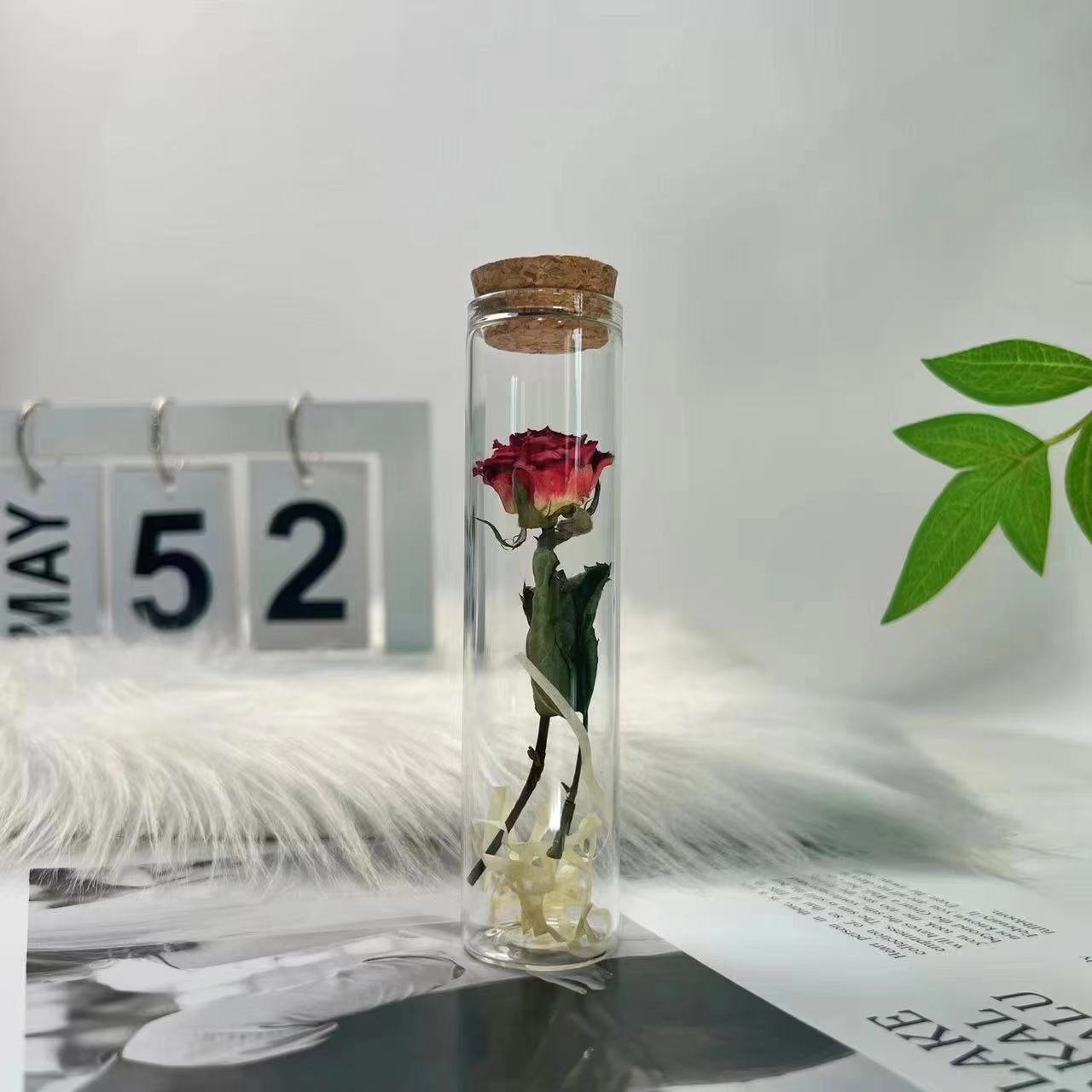Dried rose test tube glass dried flower bouquet small ornaments diy plant specimen for Teacher's Day gift