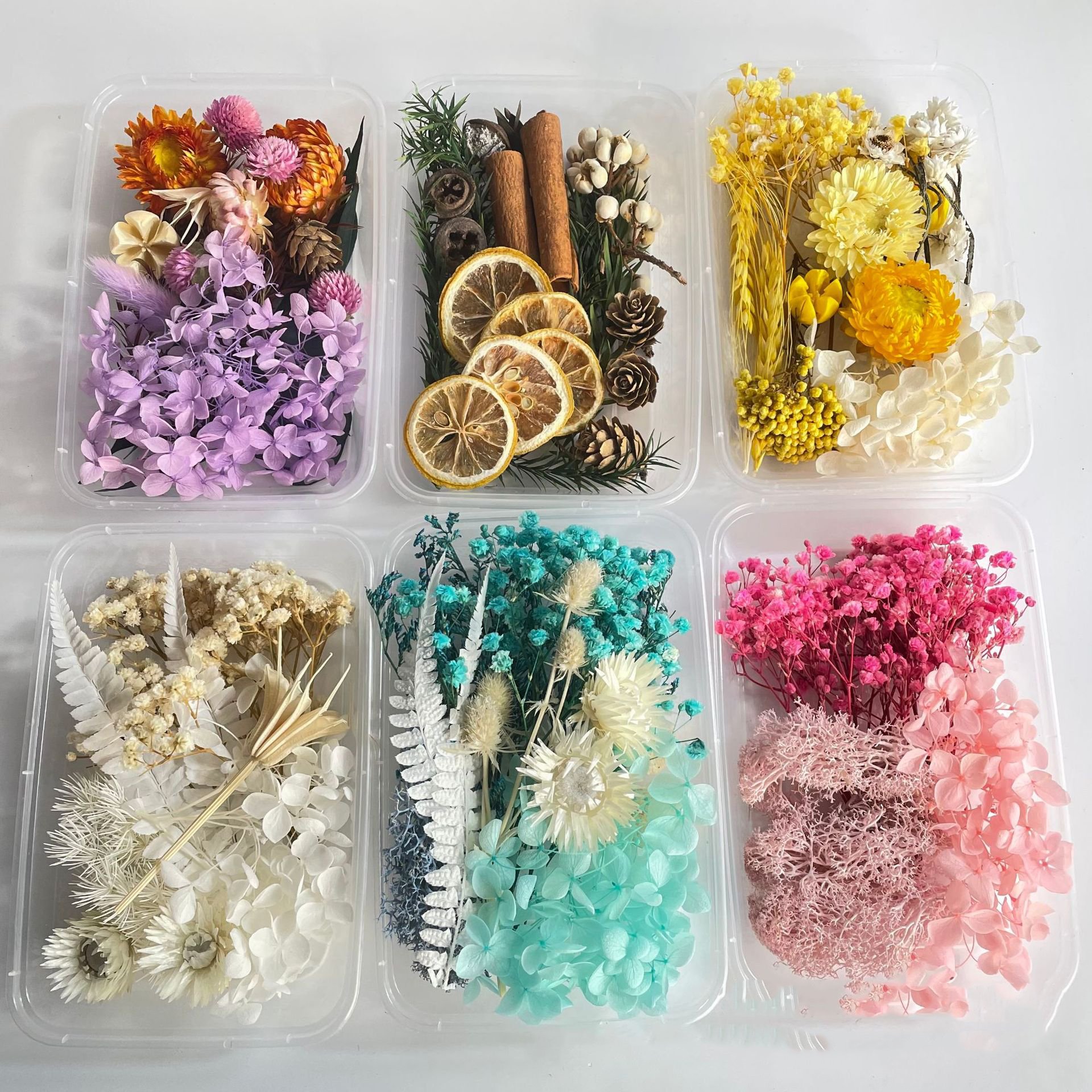 Petals Preserved Flowers for Crafts Candle Soap Resin Wholesale Dried Flowers Flower Arrangement Filling Wedding Decoration T/T