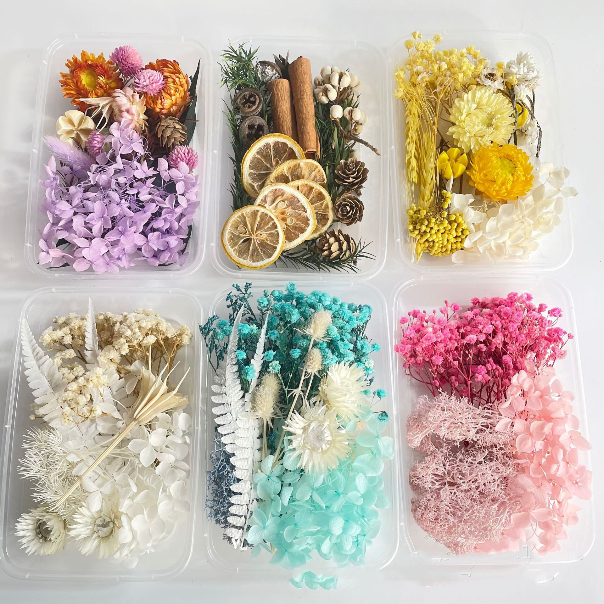 Petals Preserved Flowers for Crafts Candle Soap Resin Wholesale Dried Flowers Flower Arrangement Filling Wedding Decoration T/T