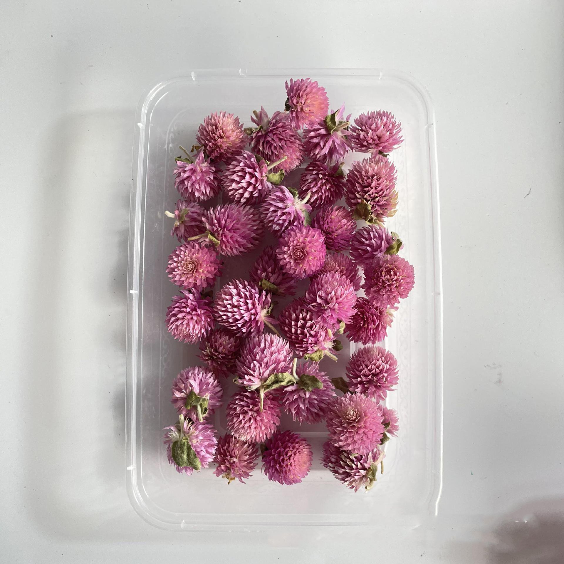Petals Preserved Flowers for Crafts Candle Soap Resin Wholesale Dried Flowers Flower Arrangement Filling Wedding Decoration T/T
