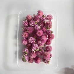 RQ0261