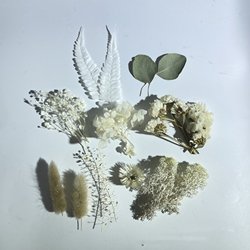 RQ0274
