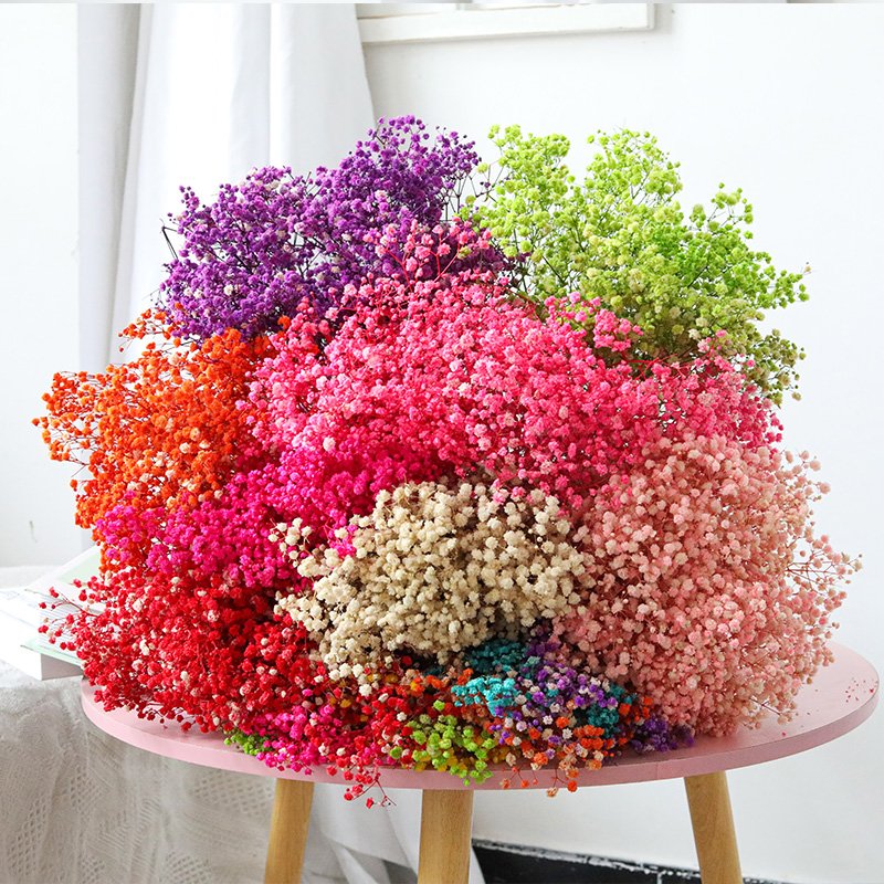 Factory Wholesale Wedding Indoor Decoration Preserved Dried flower Gypsophila baby breath flowers dried