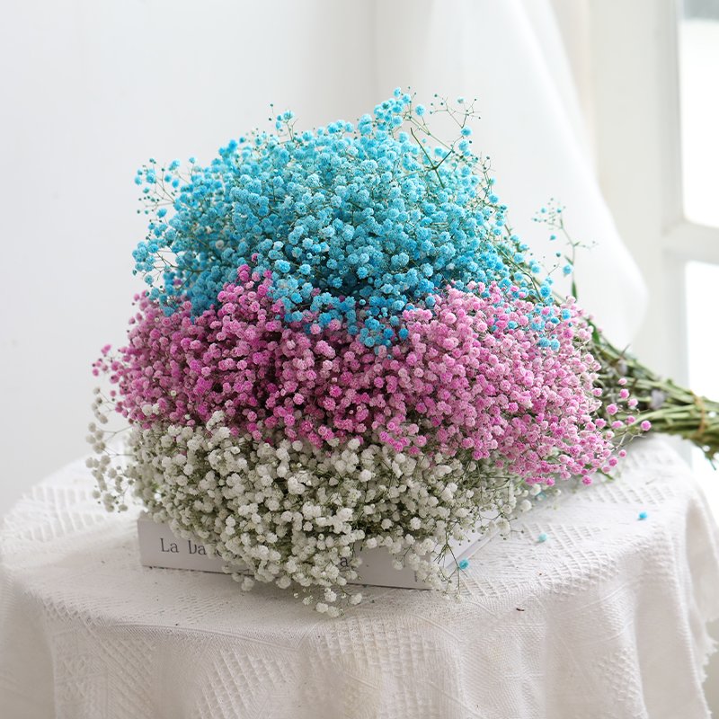 Factory Wholesale Wedding Indoor Decoration Preserved Dried flower Gypsophila baby breath flowers dried