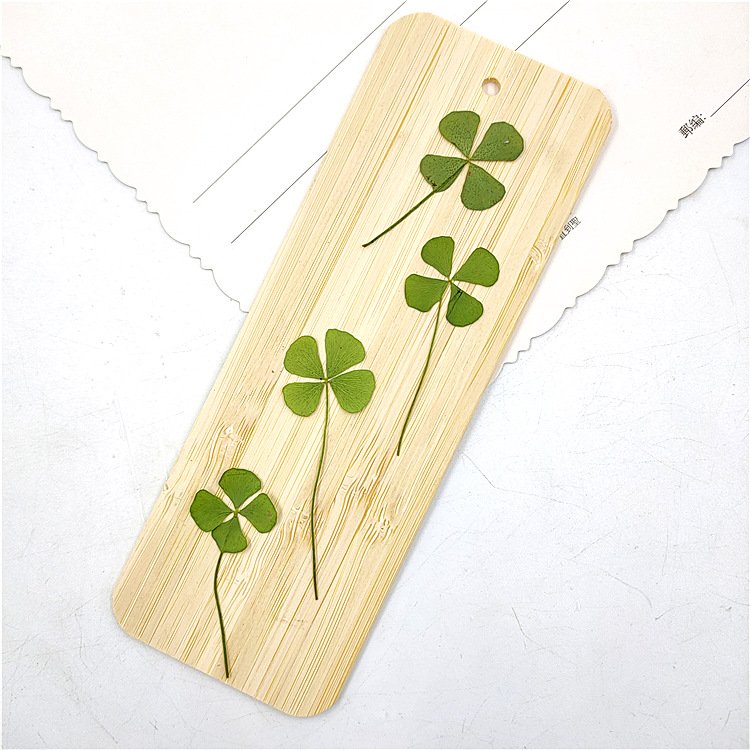 Clover True Leaves Dried Leaf Lucy Clover Encapsulated Hot Sale Premium Quality Competitive Price