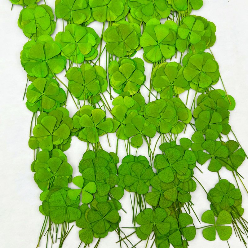 Clover True Leaves Dried Leaf Lucy Clover Encapsulated Hot Sale Premium Quality Competitive Price