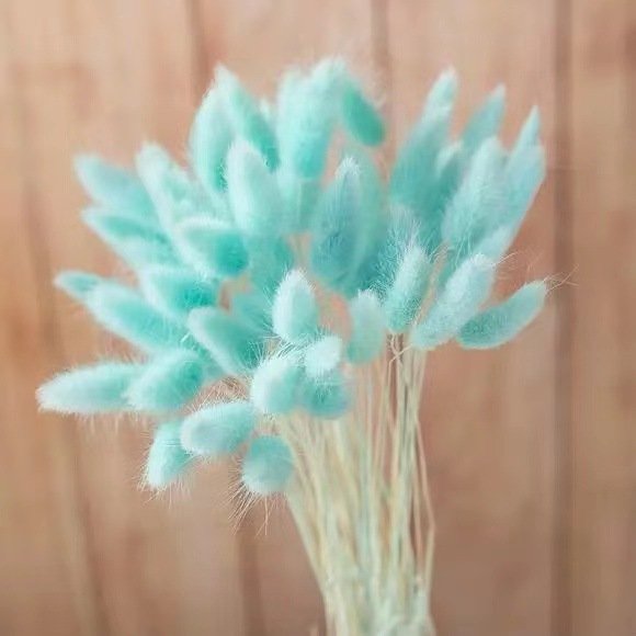 Decorative Flowers Material Dried Flowers Rabbit Tail Grass Bouquets Opp Bag Christmas Long Lasting 30 bunch Rabbit Tail grass