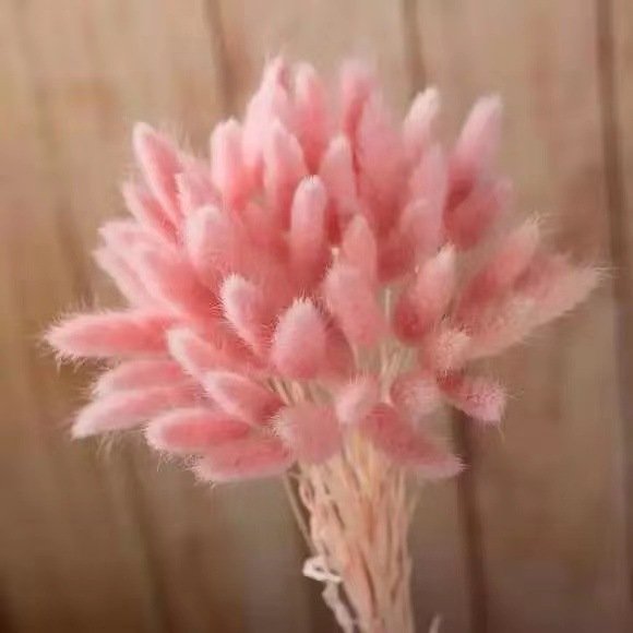 Decorative Flowers Material Dried Flowers Rabbit Tail Grass Bouquets Opp Bag Christmas Long Lasting 30 bunch Rabbit Tail grass