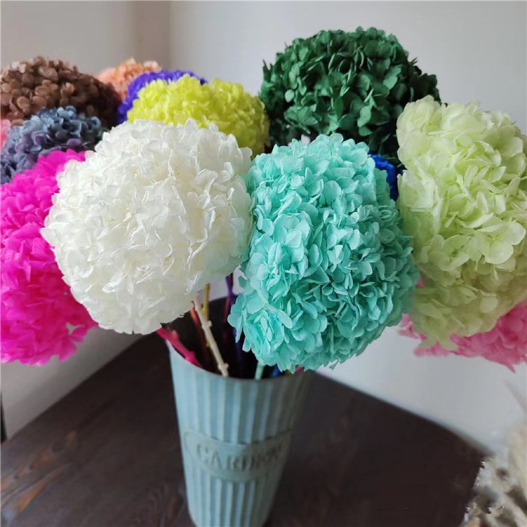 Factory Large Wedding Decoration Preserved Hydrangea Flowers Dried Billy Balls Hydrangea for Valentine's Day Weddings