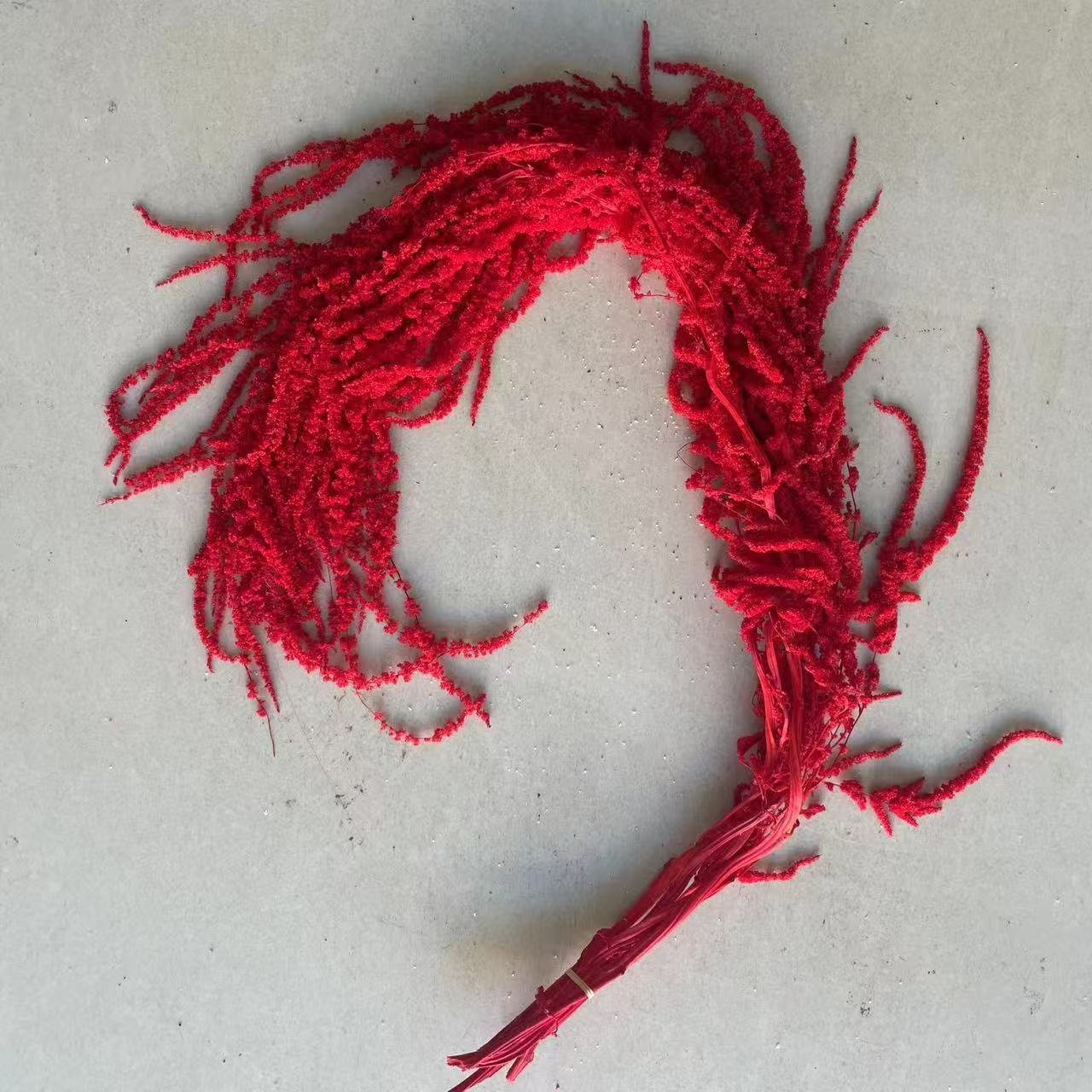 Christmas Decorative Flower Amaranth Flowers Dried Plant Hang Amaranthus Flower For Wedding Decoration