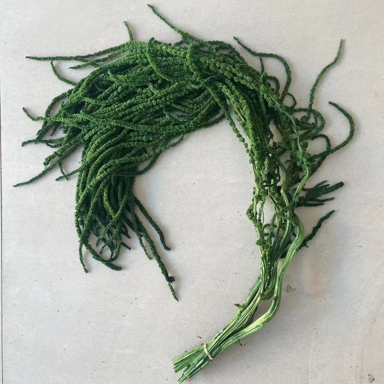 Christmas Decorative Flower Amaranth Flowers Dried Plant Hang Amaranthus Flower For Wedding Decoration