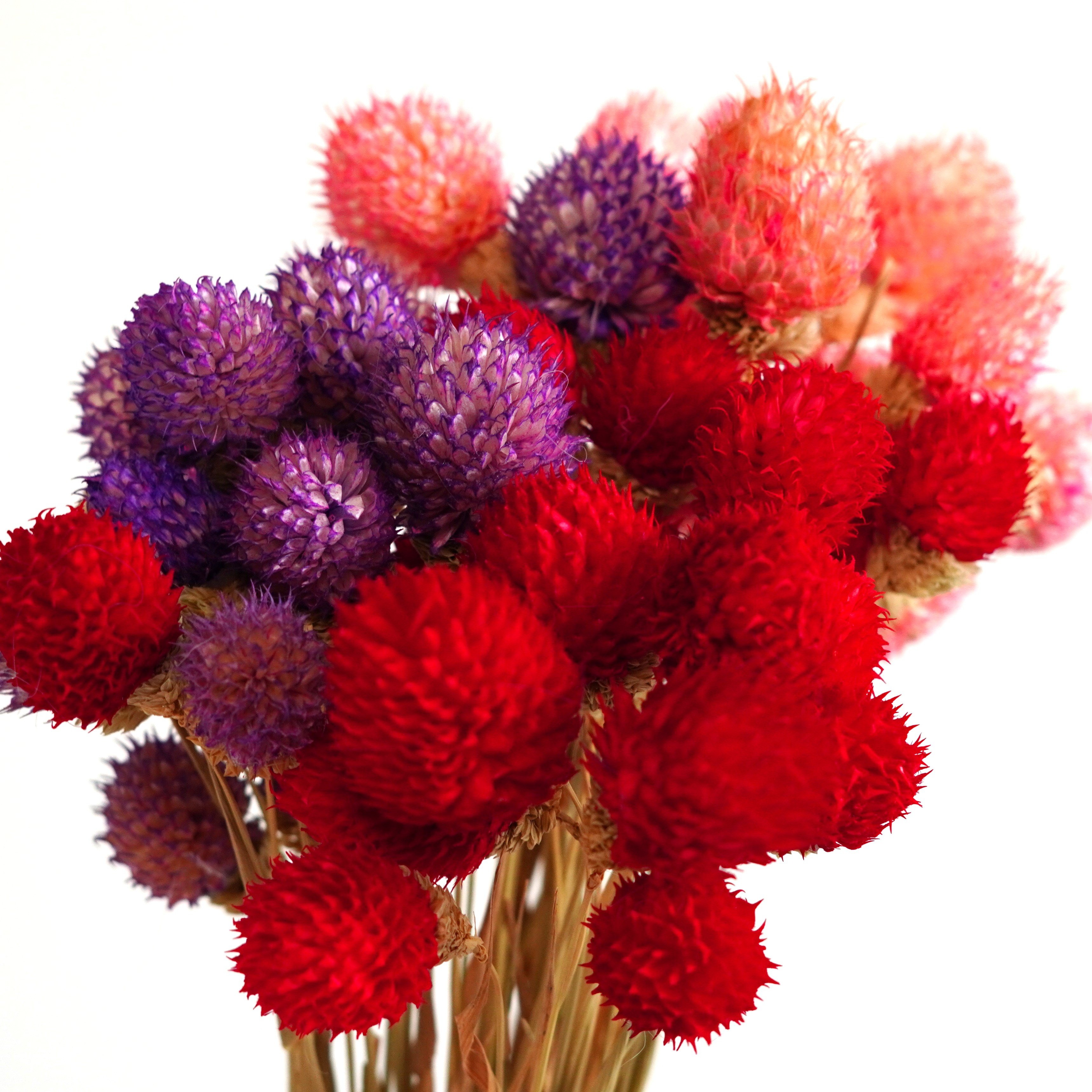 Handmade strawberry fruit with stems Home Wedding Decor High dried Flowers Colorful