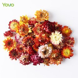 Strawflower