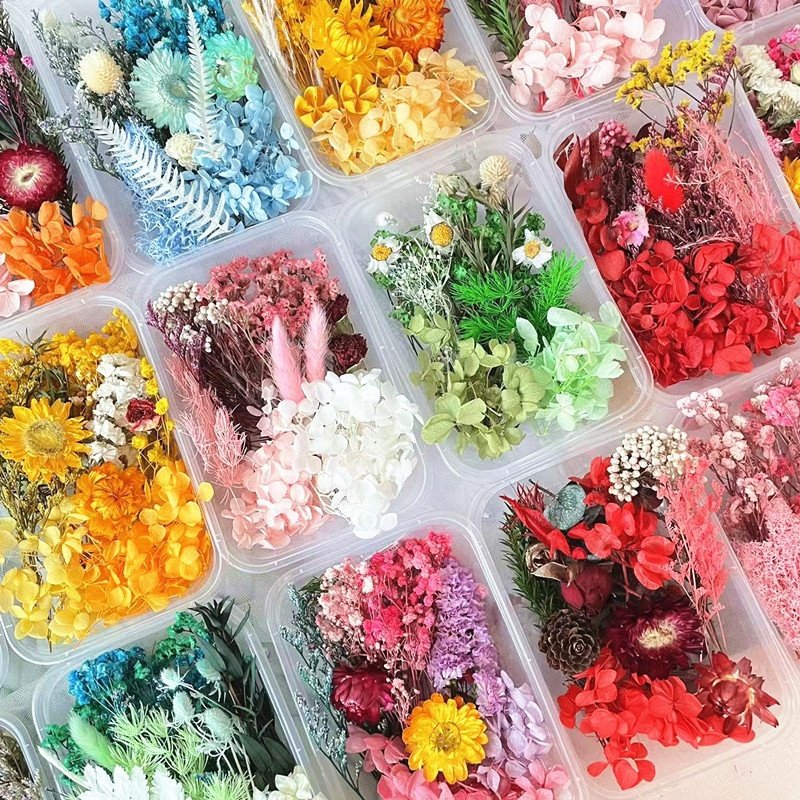 Handmade refined materials dried flower package hydrangea preserved flower for garland dried flower decoration candles decor