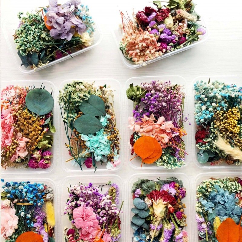 Factory Drectly Dried Natural Flower Aromatherapy Candle Materials Craft DIY Preserved Dried Flower