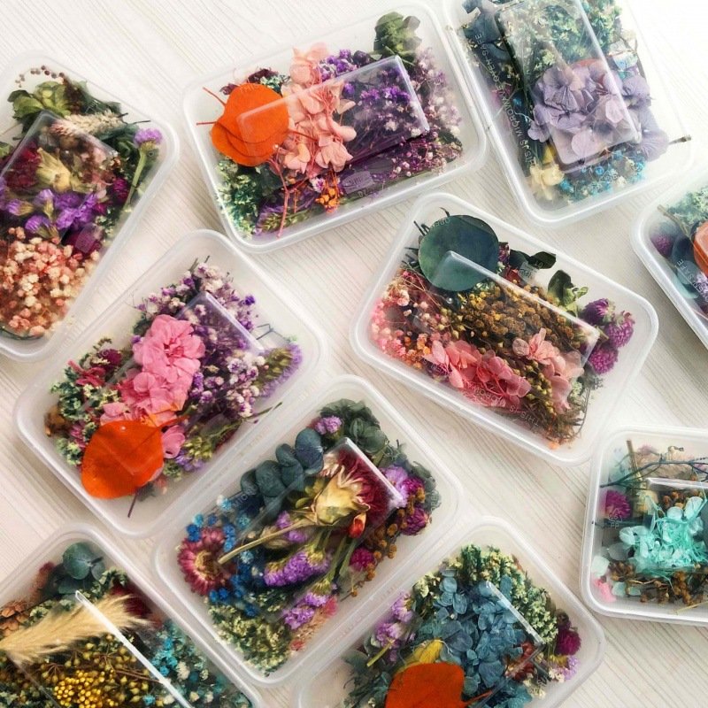 Factory Drectly Dried Natural Flower Aromatherapy Candle Materials Craft DIY Preserved Dried Flower