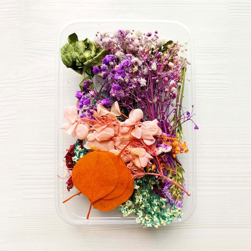 Factory Drectly Dried Natural Flower Aromatherapy Candle Materials Craft DIY Preserved Dried Flower