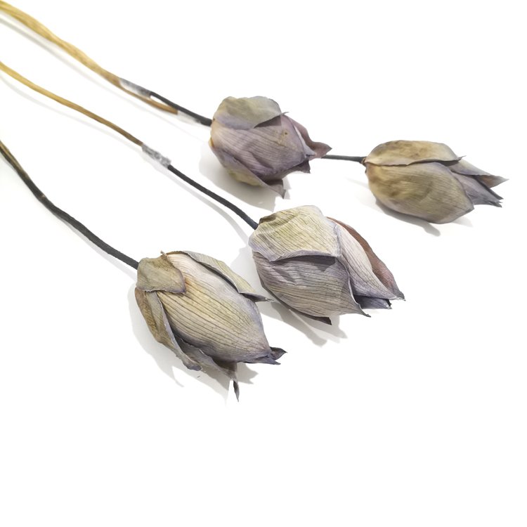 SumFlora China factory outlet wholesale natural long lasting dry flowers dried lotus for decoration