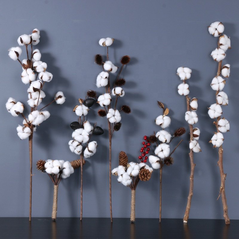 A-264 Dried Flowers 10 Heads Cotton Preserved Cotton Dried Cotton Stems Natural Flowers