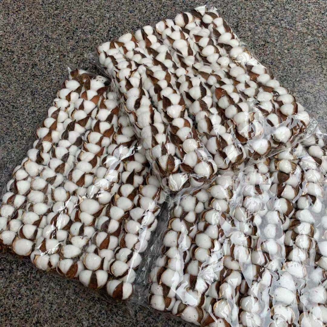 A-264 Dried Flowers 10 Heads Cotton Preserved Cotton Dried Cotton Stems Natural Flowers