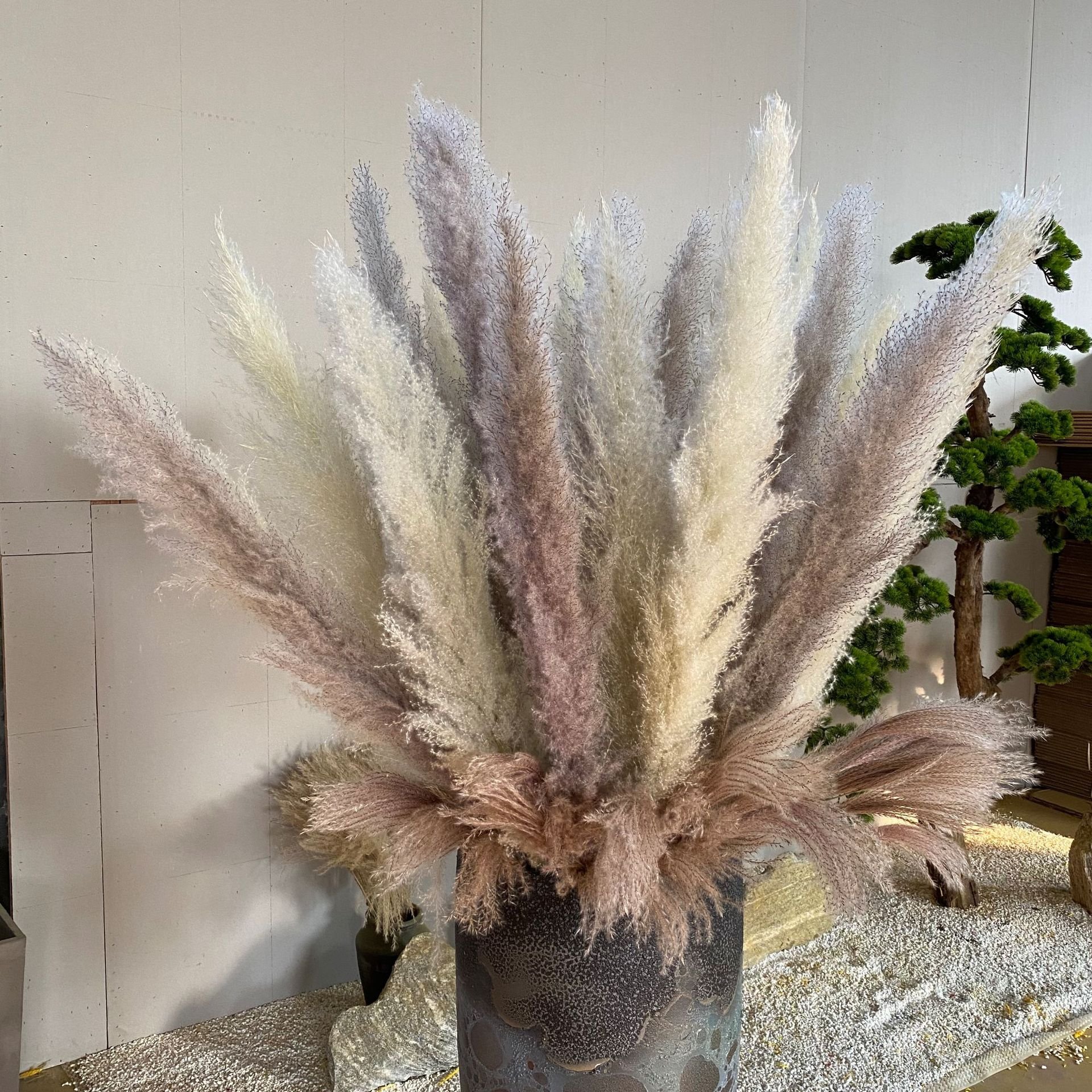 Natural pampas grass dried flower bouquet big fluffy Nordic floor decoration wedding scene layout large spike pampas grass