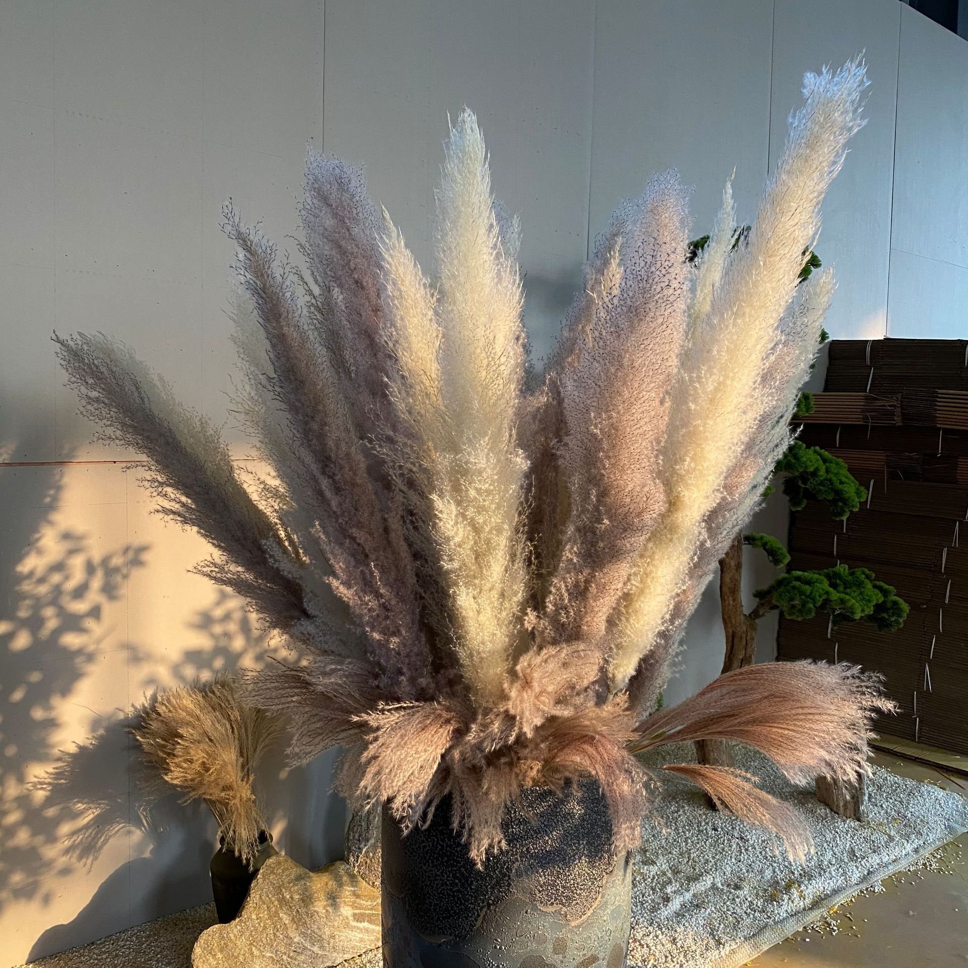 Natural pampas grass dried flower bouquet big fluffy Nordic floor decoration wedding scene layout large spike pampas grass