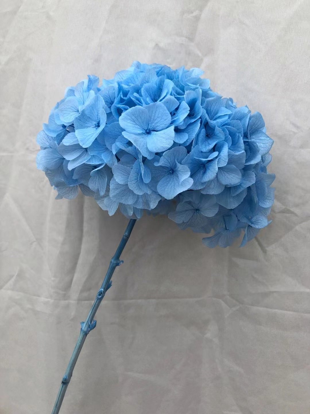 high quality big hydrangeas large leaf dried baby pink purple white green large blue hydrangea flowers preserved hydrangea