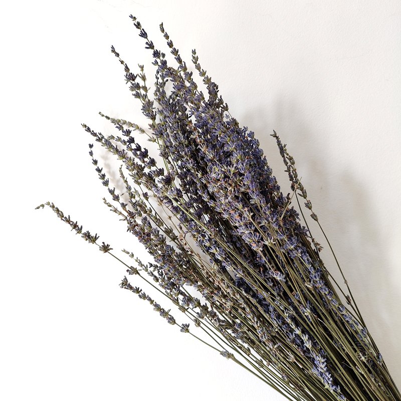 Preserved Lavender Wedding Bouquet Home Decor Naturally Real Touch Lavender Dried Flowers Dried Lavender With Long Stem