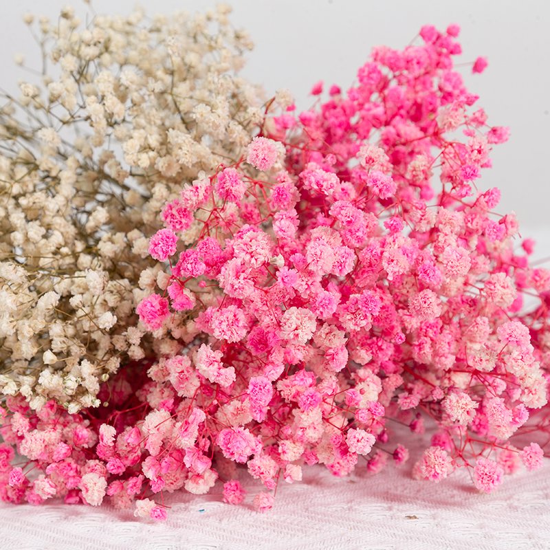 Wholesale High Quality China Natural Dried Flowers Bouquet Decoration Gift