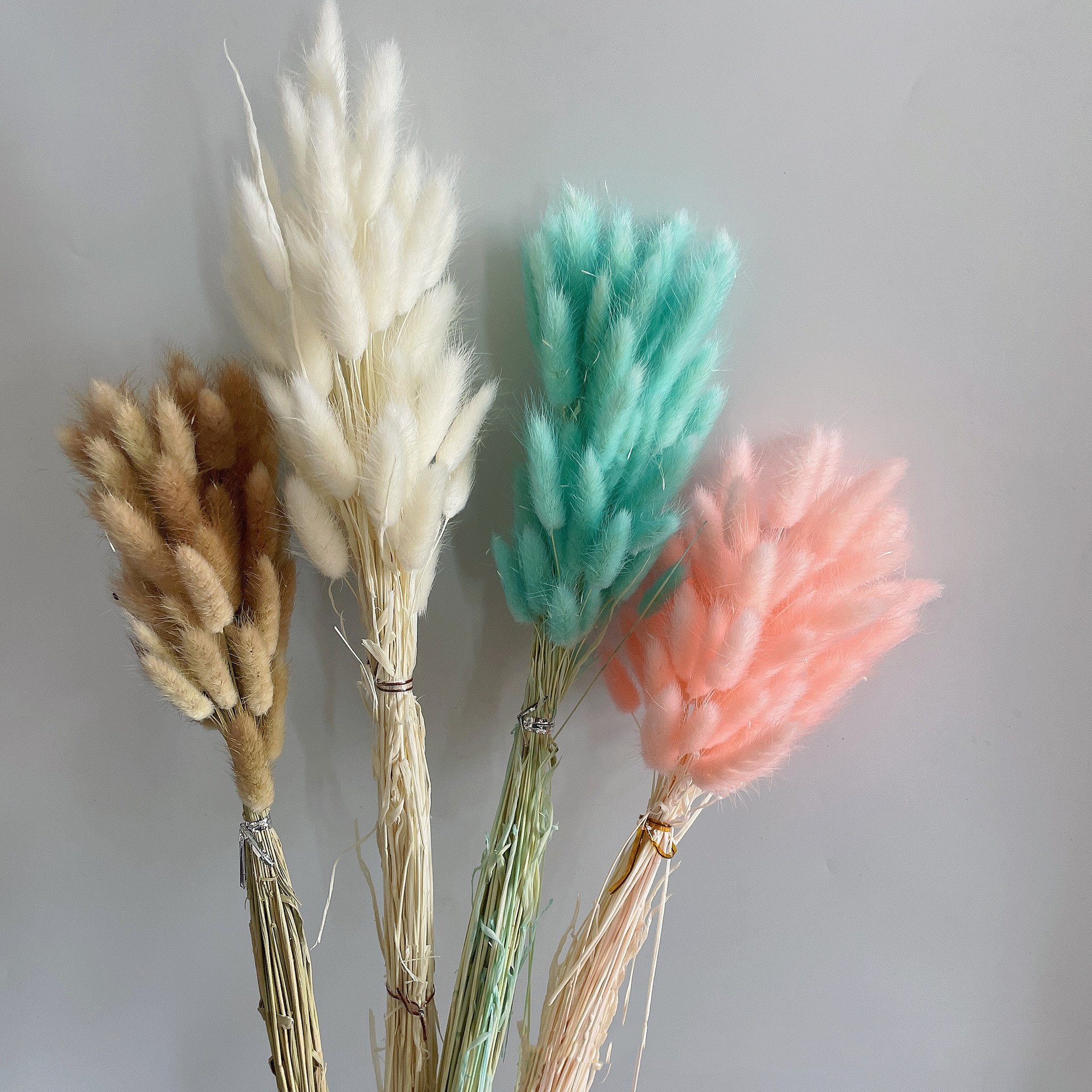 Hot Selling Dried Flowers Rabbit Tail Grass Bouquets Bunny Tails For Flower Decoration lagurs