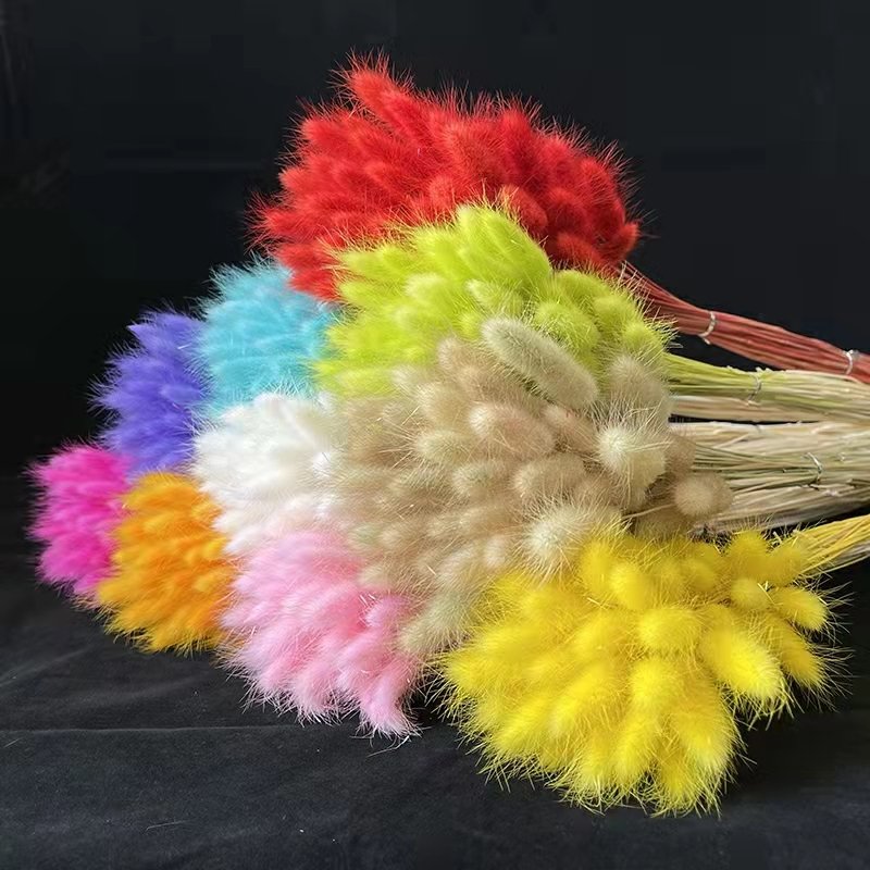 Hot Selling Dried Flowers Rabbit Tail Grass Bouquets Bunny Tails For Flower Decoration lagurs