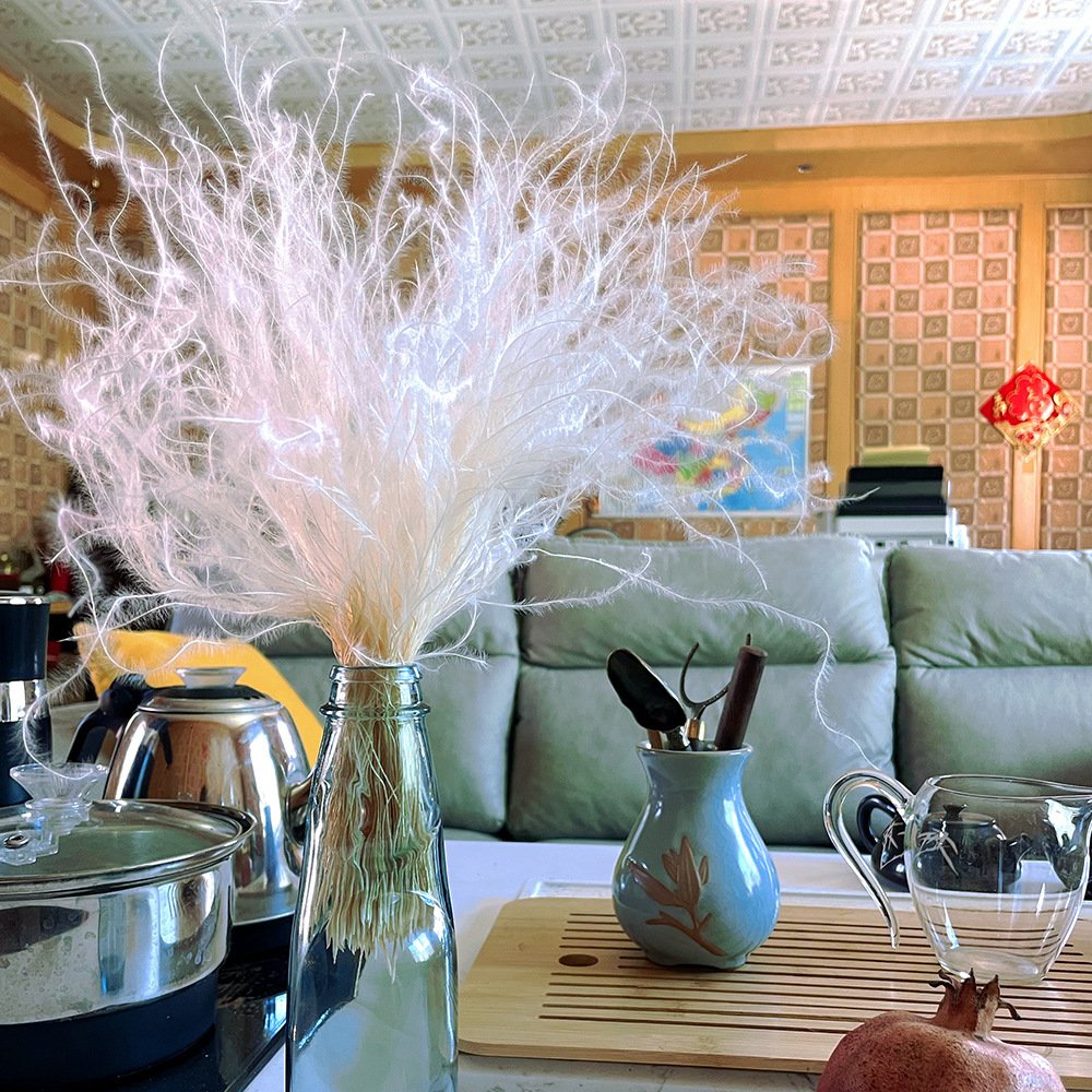 Dried natural feather grass pampas grass flower ,Mexican original flower