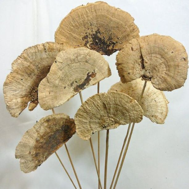 Popular Premium Quality Sponge Mushroom for Wedding Home Event Office Decor & Dried Flower Arrangement